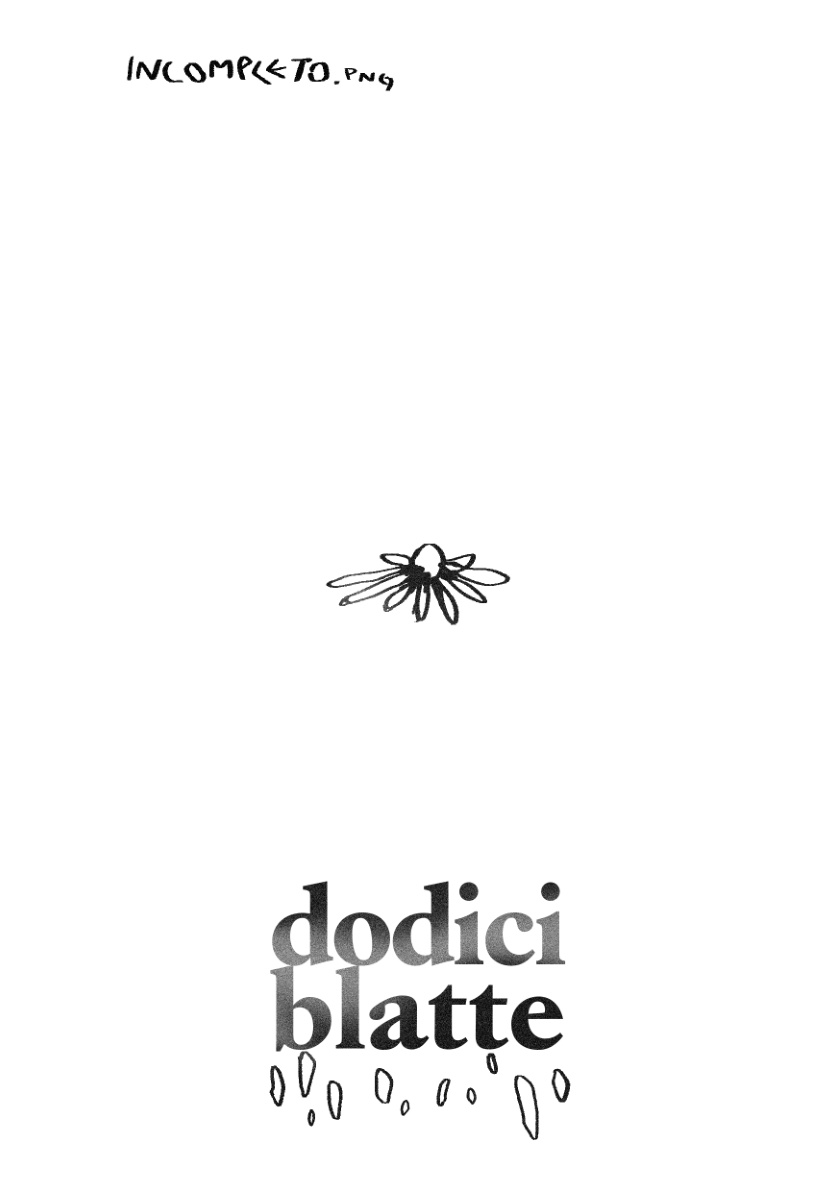 dodici blatte