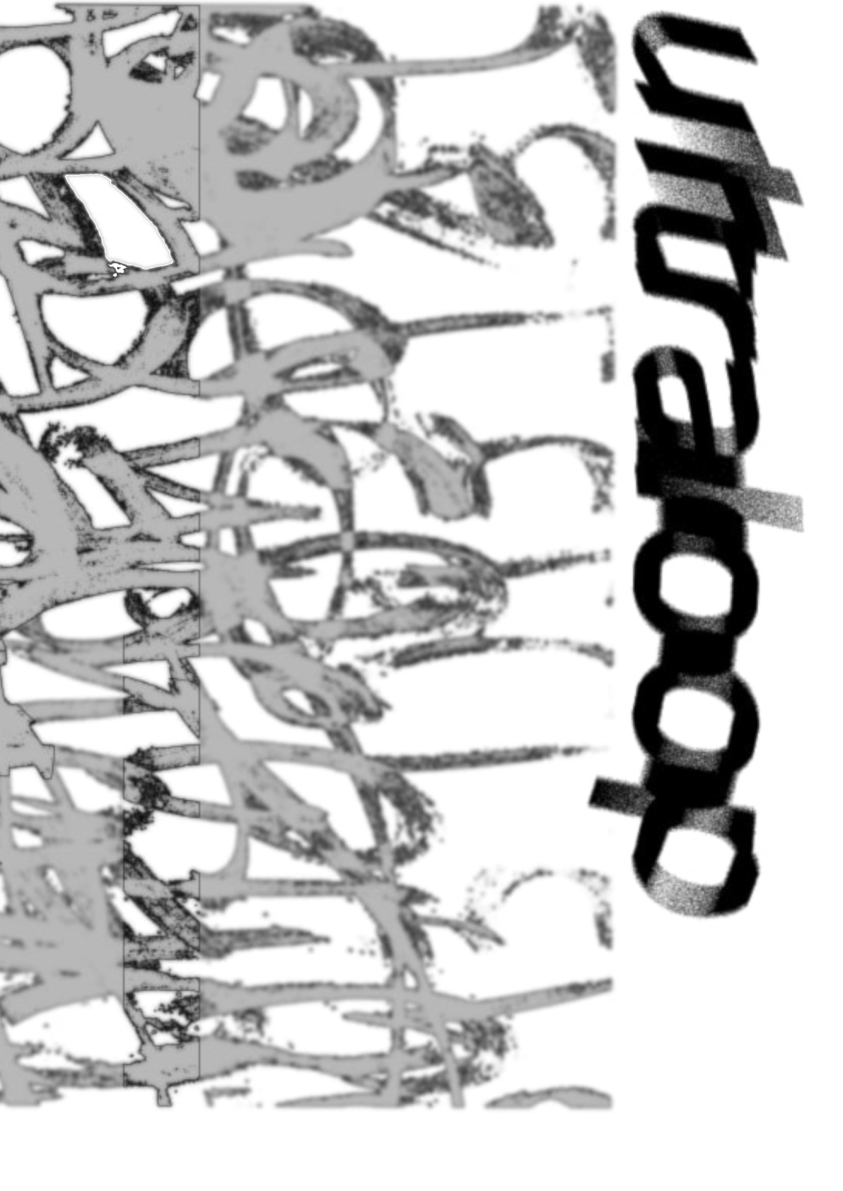 ultraloop
